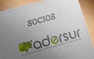 Actualidad Socios